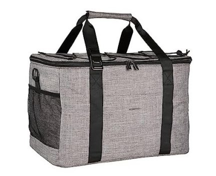 Amazon Basics Soft Insulated Cooler Bag