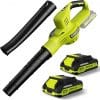 Cordless Leaf Blower Set