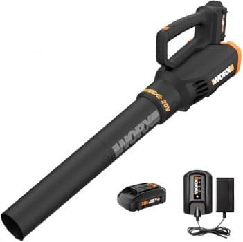 WORX Cordless Leaf Blower