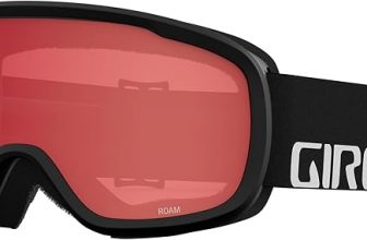 Giro Roam Snow Goggle