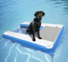Toriexon Inflatable Dog Boat Ramp