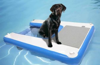 Toriexon Inflatable Dog Boat Ramp