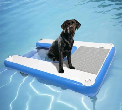 Toriexon Inflatable Dog Boat Ramp