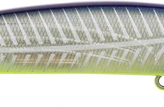 Berkley Stunna Fishing Hard Bait