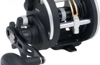 Penn Rival Level Wind Conventional Reel