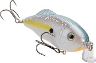 Strike King Hybrid Hunter Jr. Shallow Crankbait