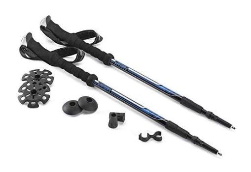 Cascade Mountain Tech Trekking Poles