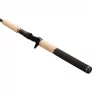 13 Fishing Omen Gold Trolling Rod