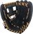 Champion Sports Baseball Glove
