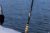 Dobyns Rods Hyperlite Series