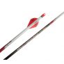 Easton Bloodline 480 spine Carbon Arrows – 6 pack