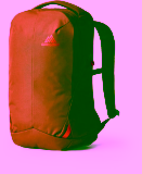 Gregory Rhune 22 Pack