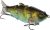 MACH MachShad Fishing Lure