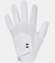 Men’s UA Iso-Chill Golf Glove