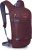 Osprey Glade Ski and Snowboard Hydration Backpack