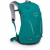 Osprey Hikelite 18 Pack- REI Co-op Members