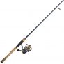 Pflueger/Fenwick President Spinning Combo