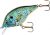Rebel Lures Bluegill Square Bill Crankbait