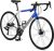 Schwinn Phocus 1.6 Disc Road Bike