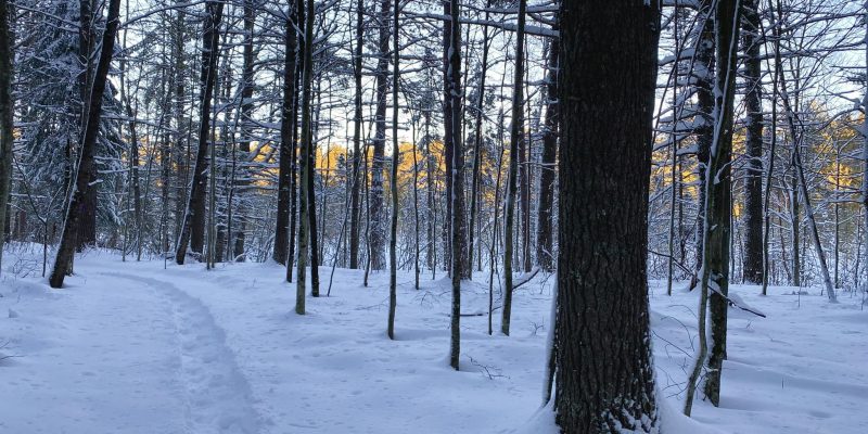 The History of Snowshoeing: From Survival to Recreation