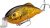 Strike King Hybrid Hunter Shallow Jr. Fishing Lure