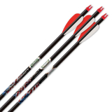 Vital Impact 6mm Pro 300 Carbon Arrows