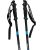 WhiSki Poles Original – SKI Pole FLASKS