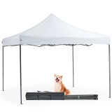 10 x 10ft Pop Up Canopy Tent